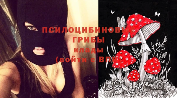 каннабис Дмитровск